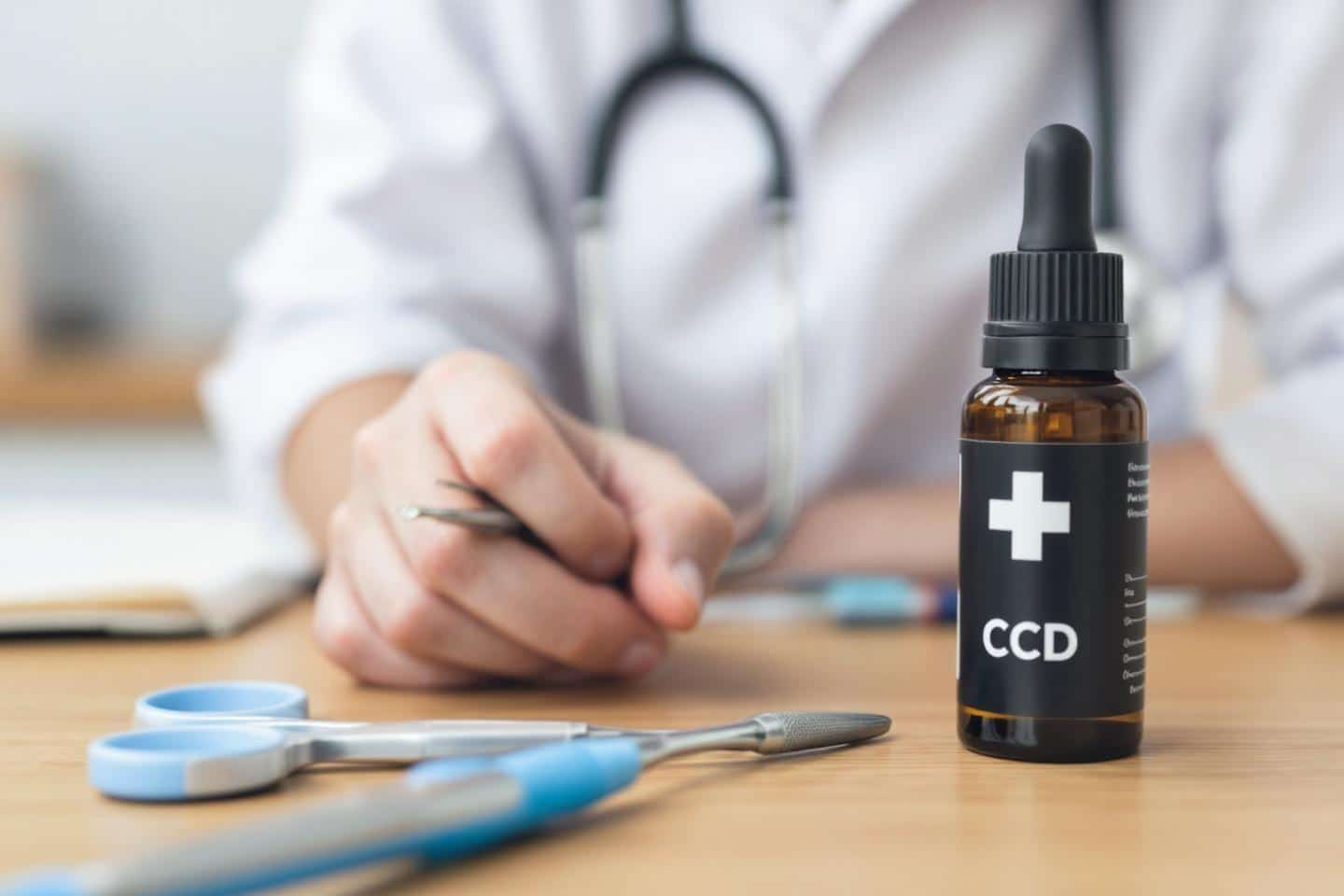 Cbd et animaux est-ce sans danger : risques et bienfaits expliqués
